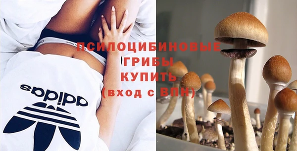 ECSTASY Алексеевка