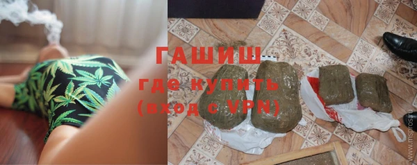 стаф Корсаков