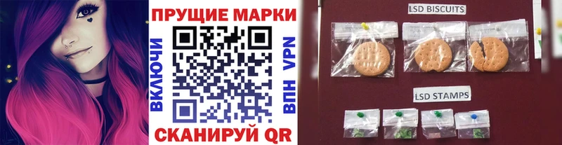 ссылка на мегу онион  Арамиль  Марки N-bome 1,8мг  где можно купить наркотик 